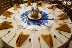 WHF launch fundraising dinner